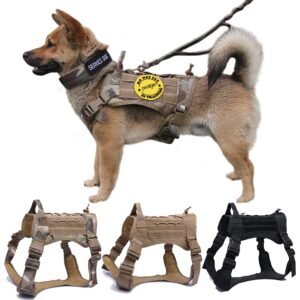 Padded Nylon Dog Harness & Leash Set – Comfort Handle