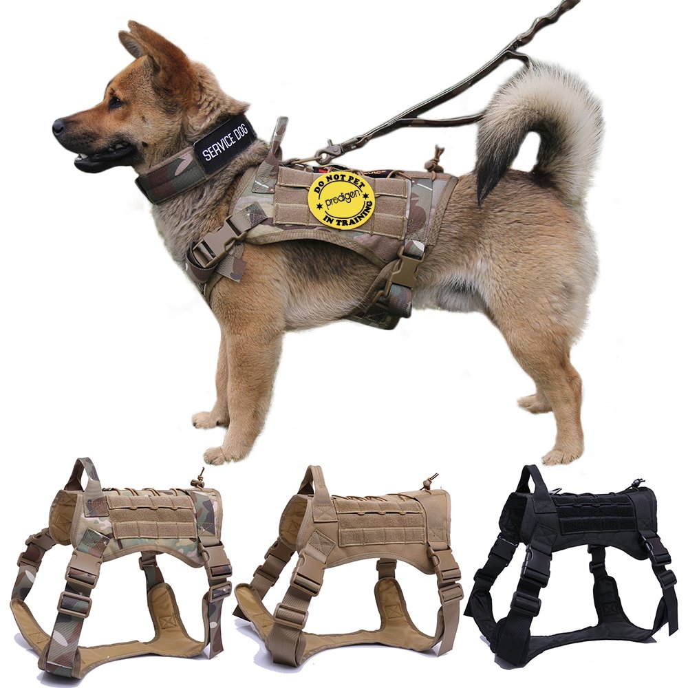 Padded Nylon Dog Harness & Leash Set - Comfort Handle