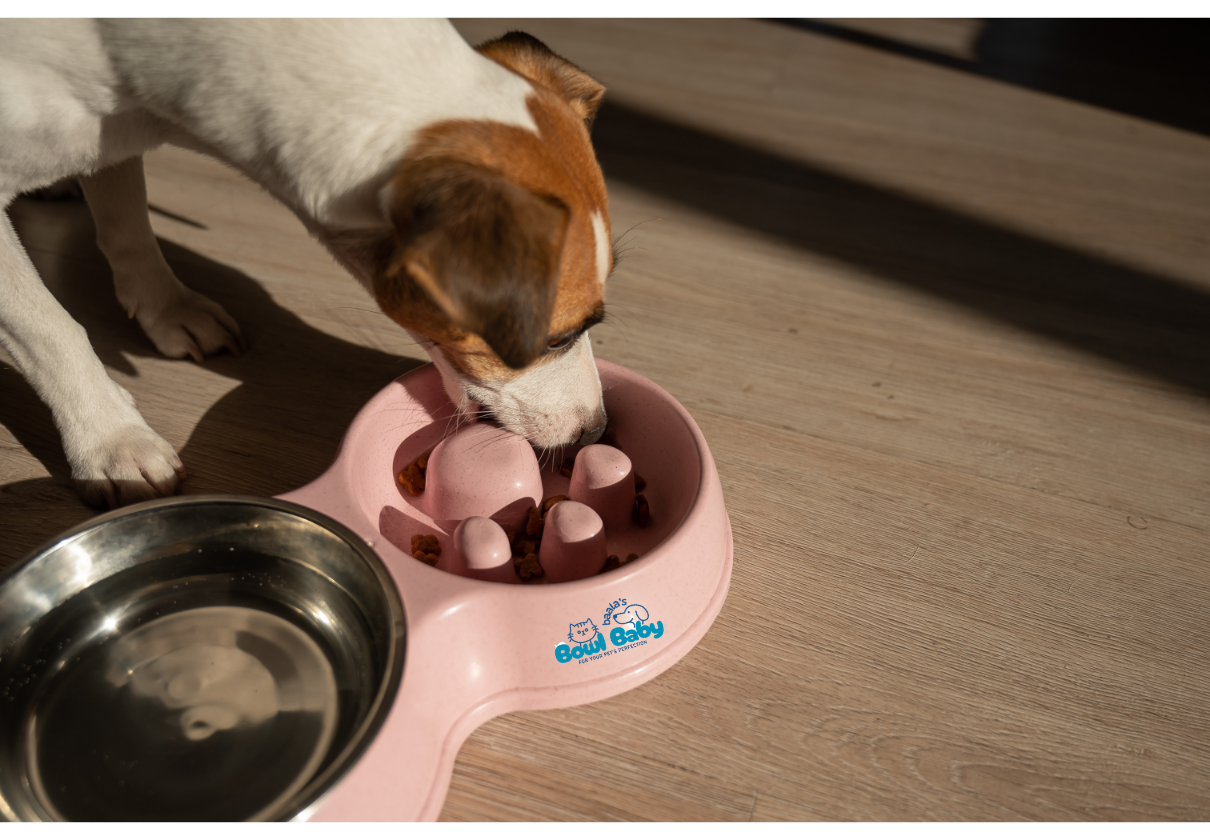 Puppy Feeders