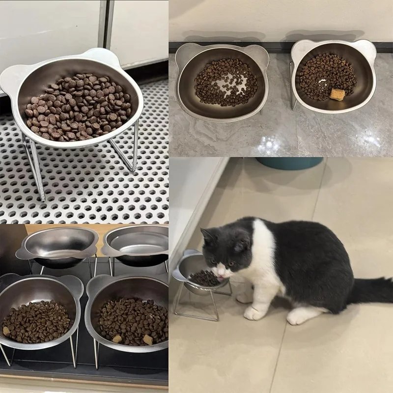 Cat Bowls Tilted Neck Guard Cat Food Bowl Indoor Stainless Steel
