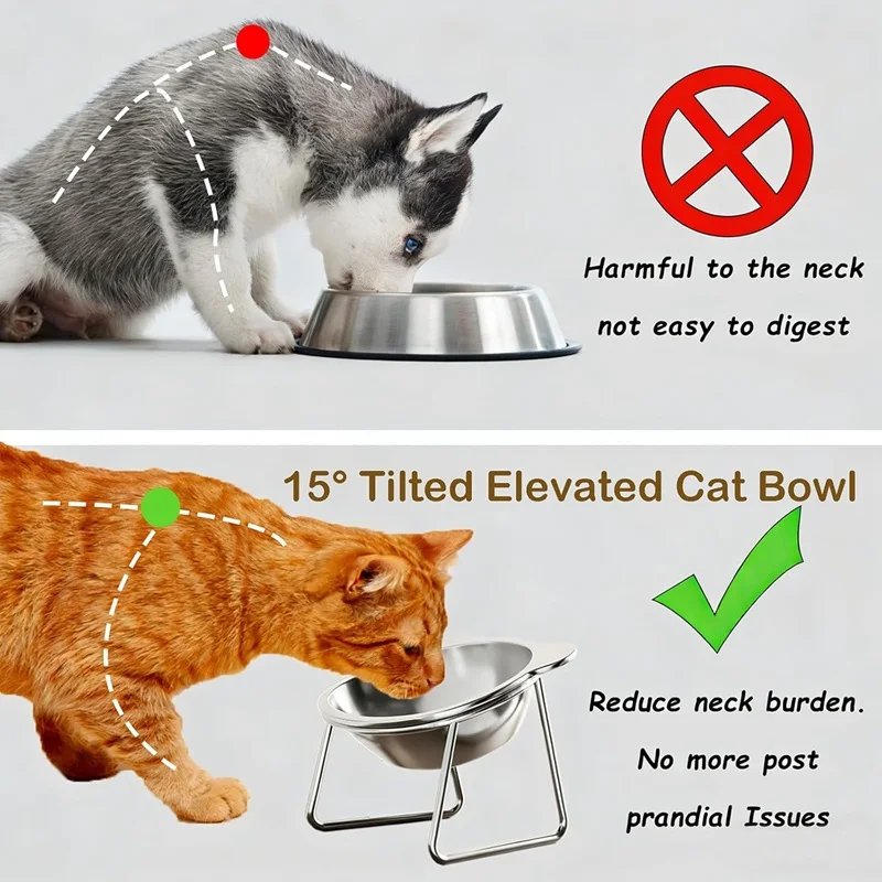 Cat Bowls Tilted Neck Guard Cat Food Bowl Indoor Stainless Steel Shatter Resistant Elevated 15° Pet Bowl For Kitten Puppy Cat Bowls Tilted Neck Guard Cat Food Bowl Indoor Stainless Steel Shatter Resistant Elevated 15° Pet Bowl For Kitten Puppy
